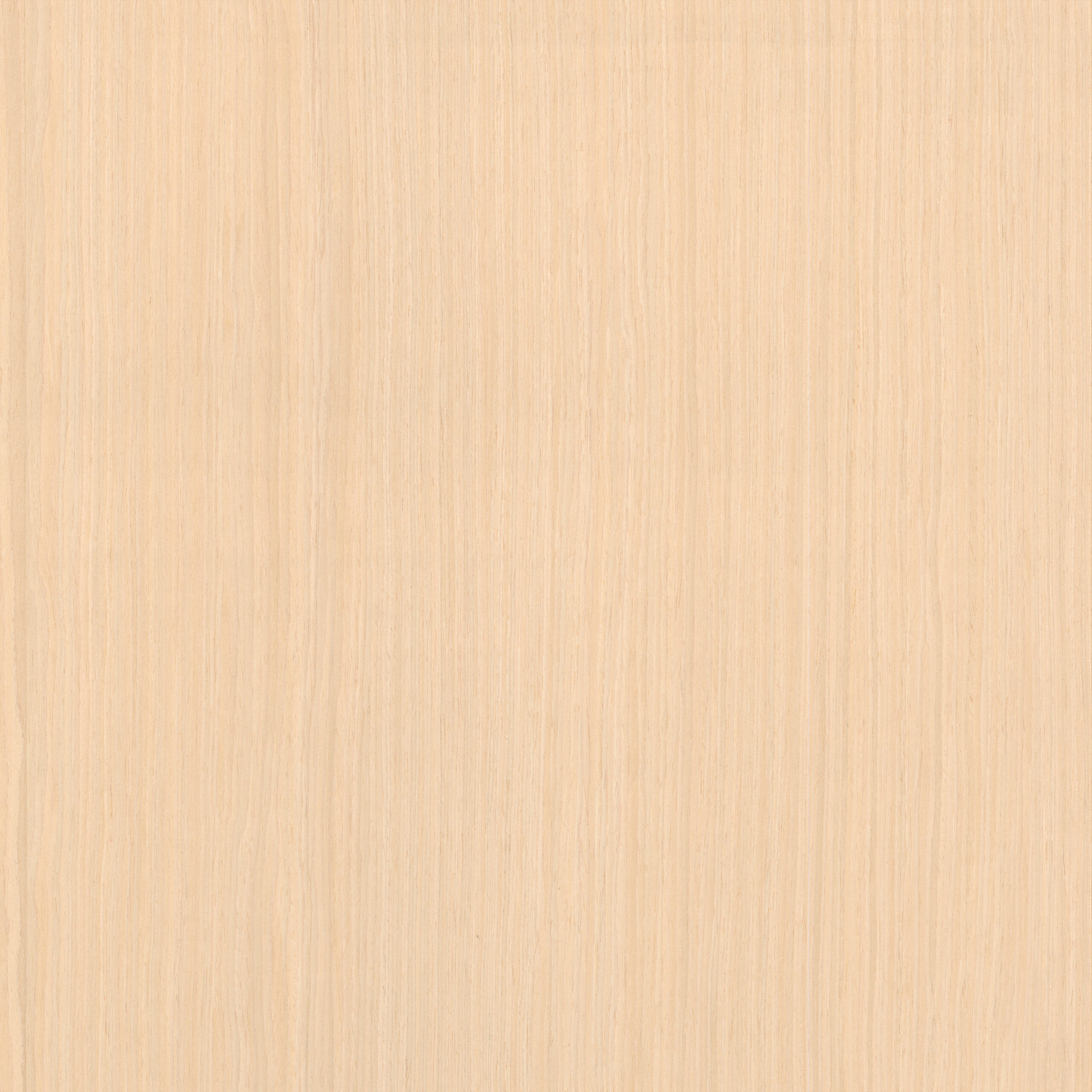 Okleina Oak White Semiquartercut B01S 6090051 ZV-38