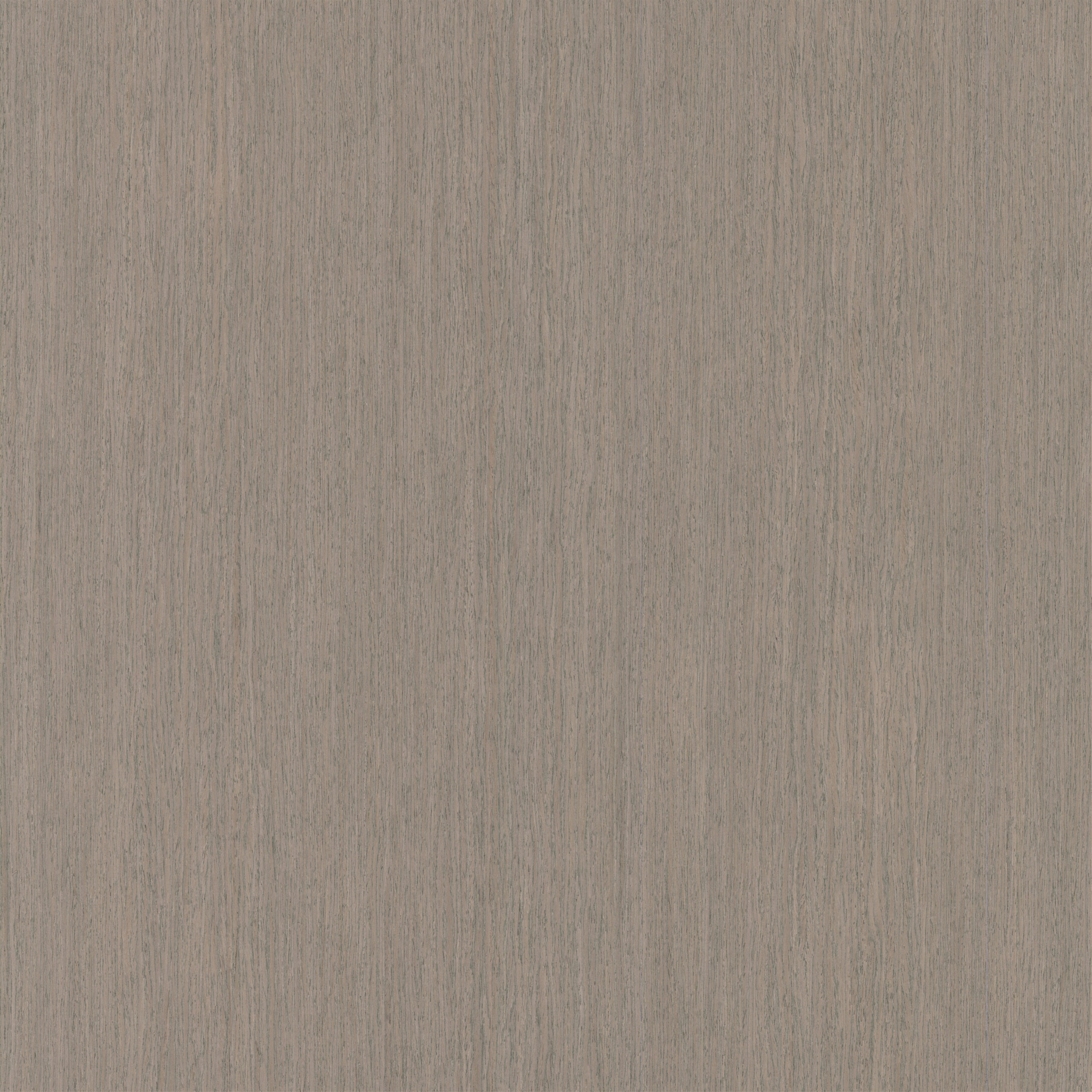 Okleina Oak Slate Gray 6090088 ZV-41