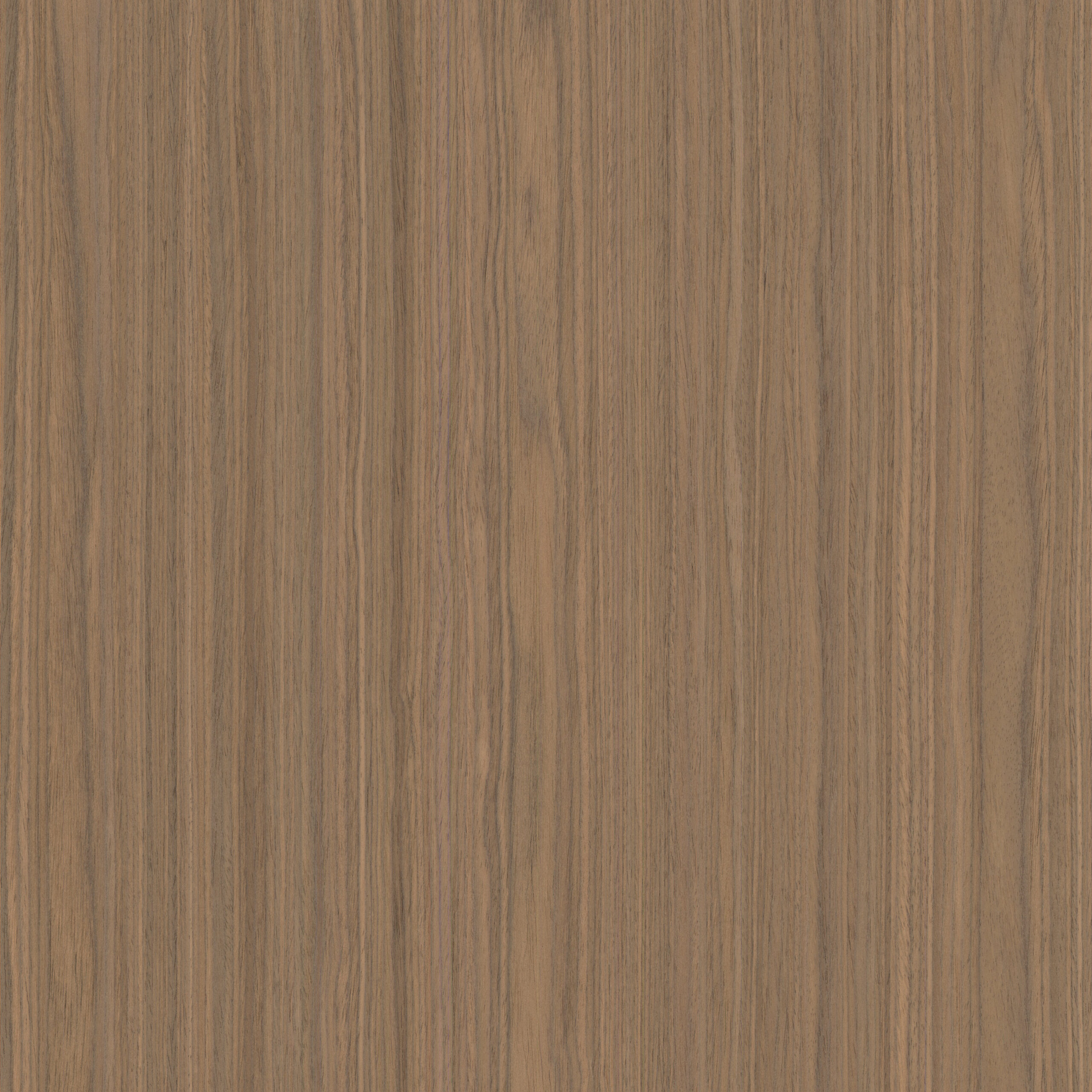 Okleina Walnut Black KS189 6091541 ZV-25