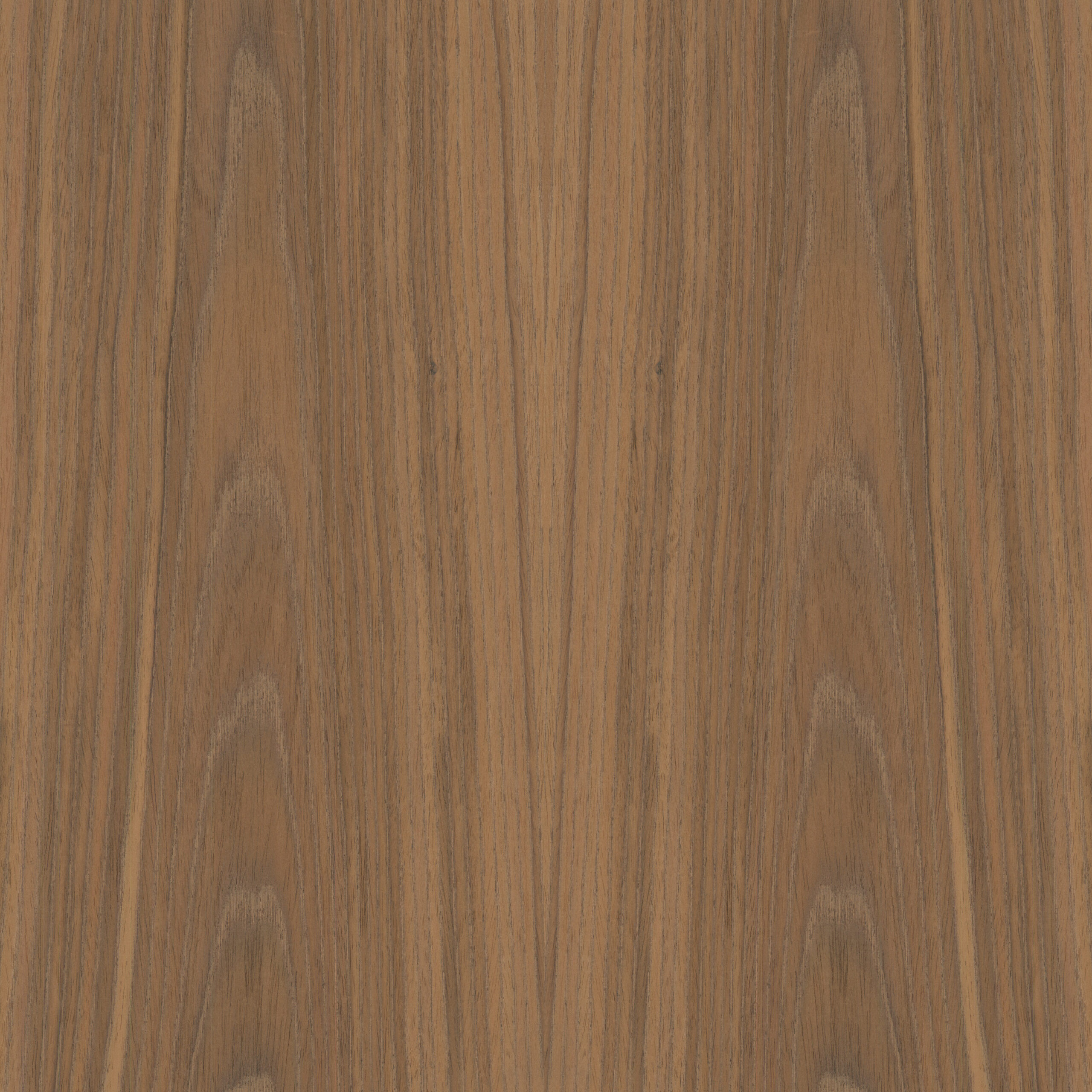 Okleina Walnut Crowncut 150WDC 6091581 ZV-24