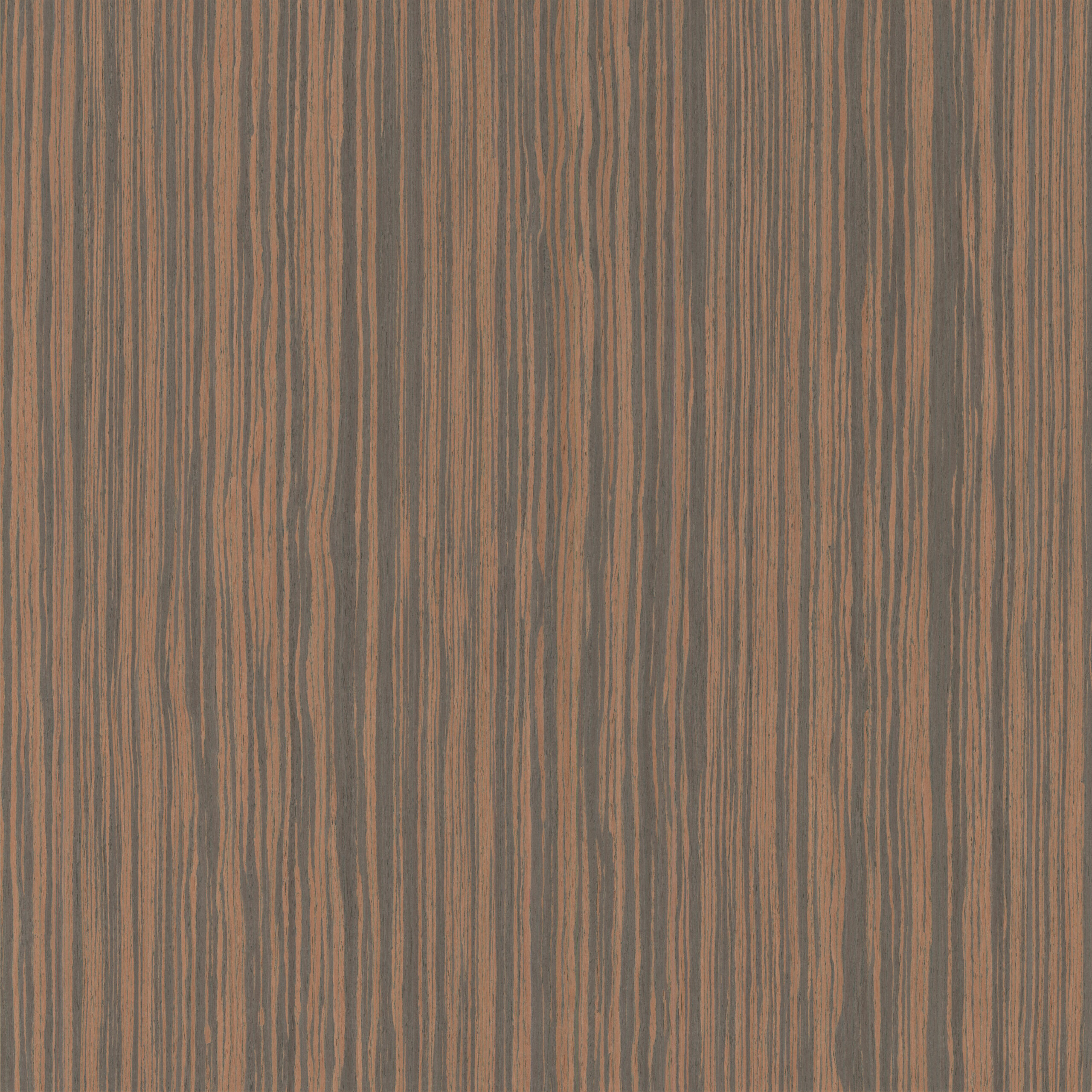 Okleina Ebony Semiquartercut 068DS 6096540 ZV-16