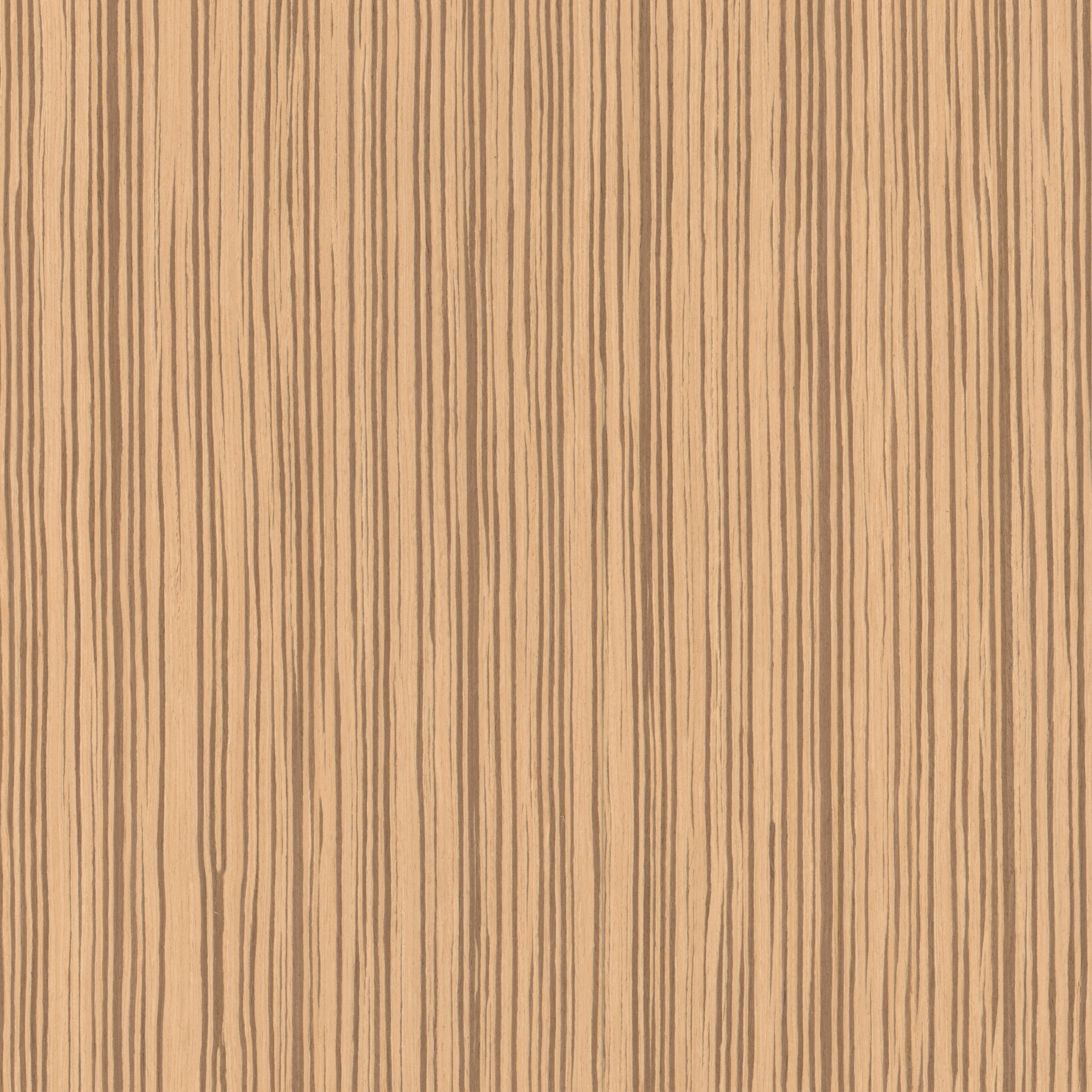 Okleina Zebrawood Semiquartercut 018DS 6097040 ZV-54