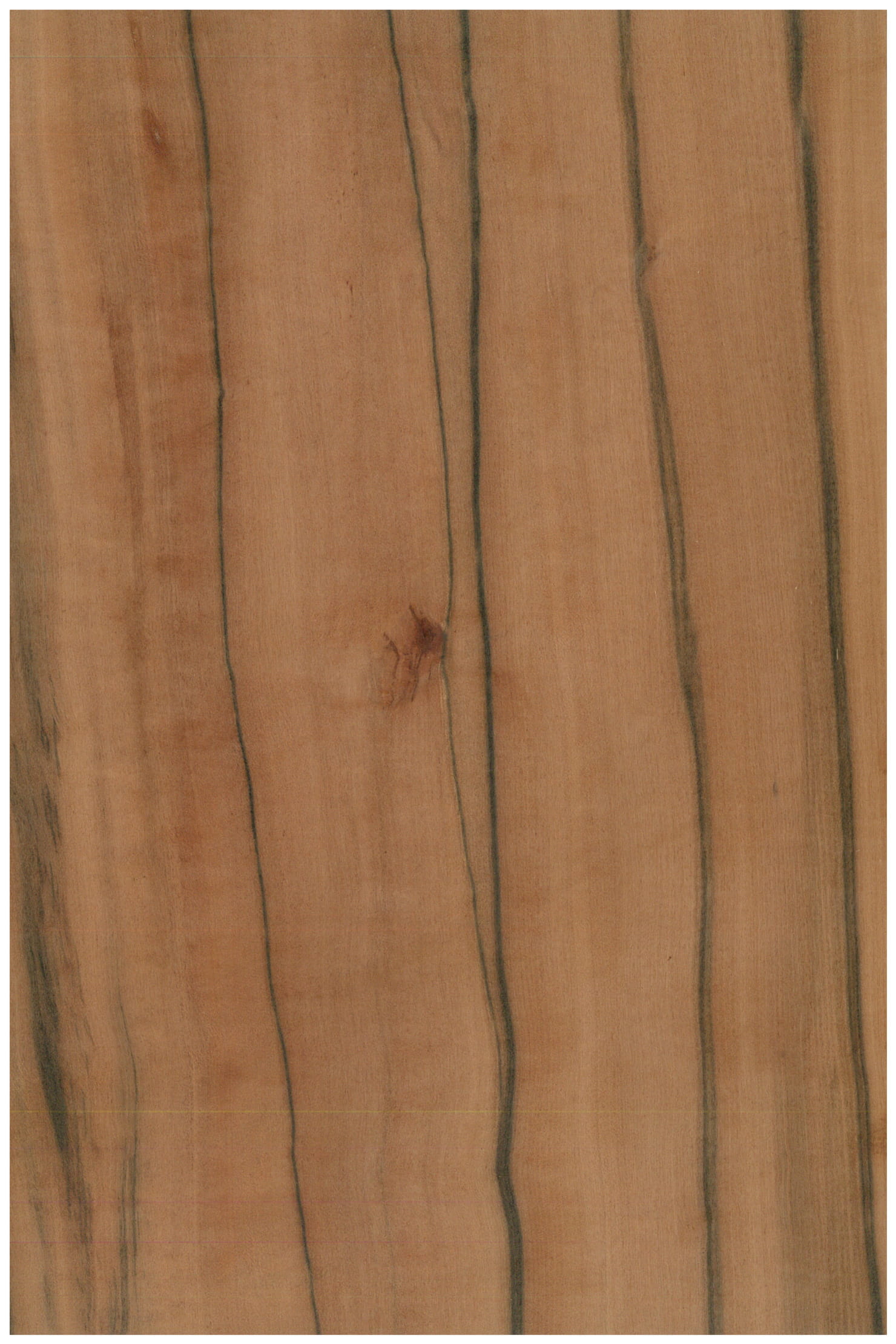 Fornir Jabłoń Indyjska A FSC CONTROL WOOD