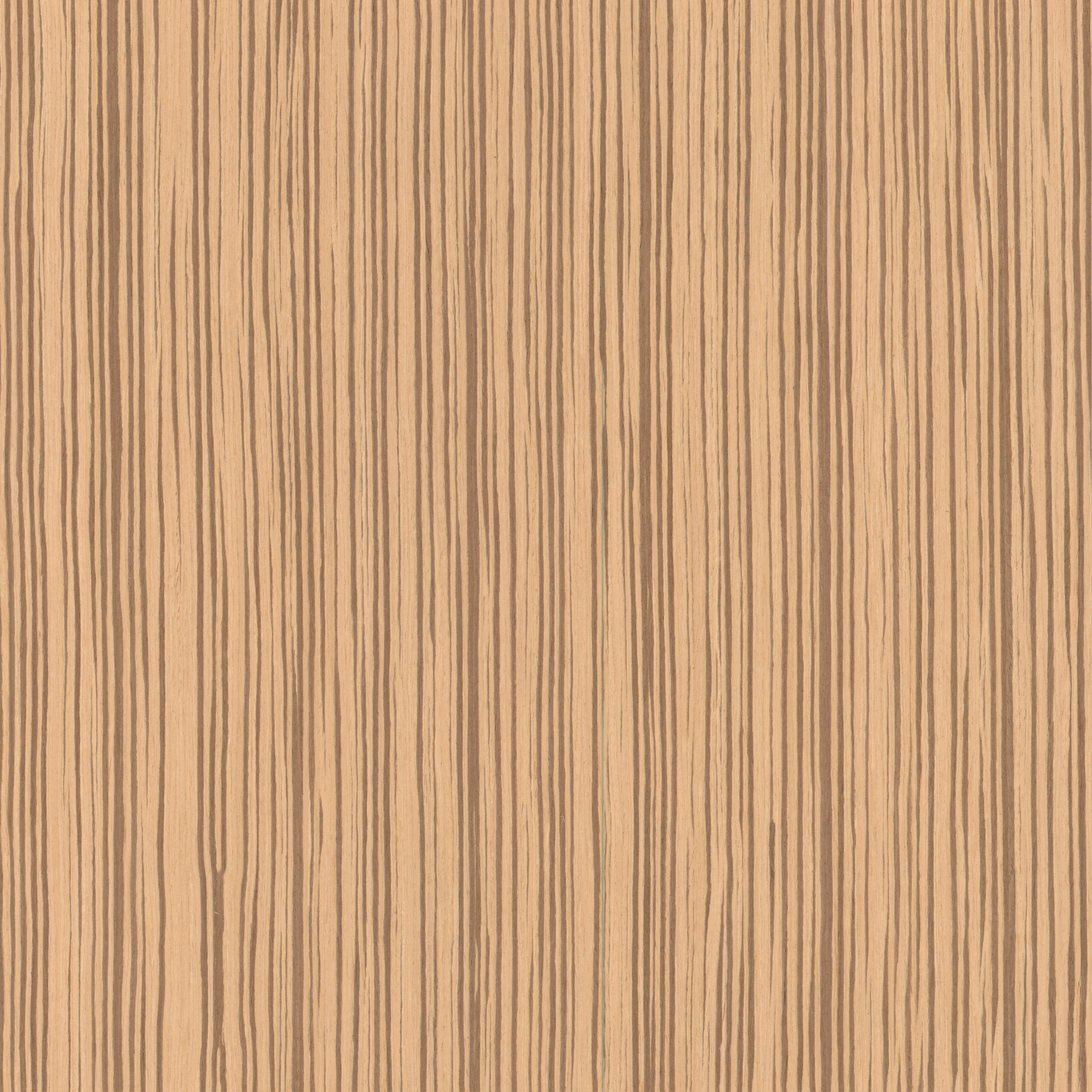 Okleina Zebrawood Semiquartercut 018DS 6097040 ZV-54 FSC 100%